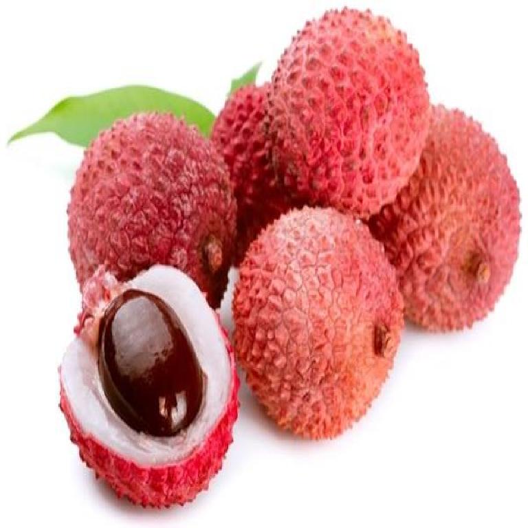 LITCHI